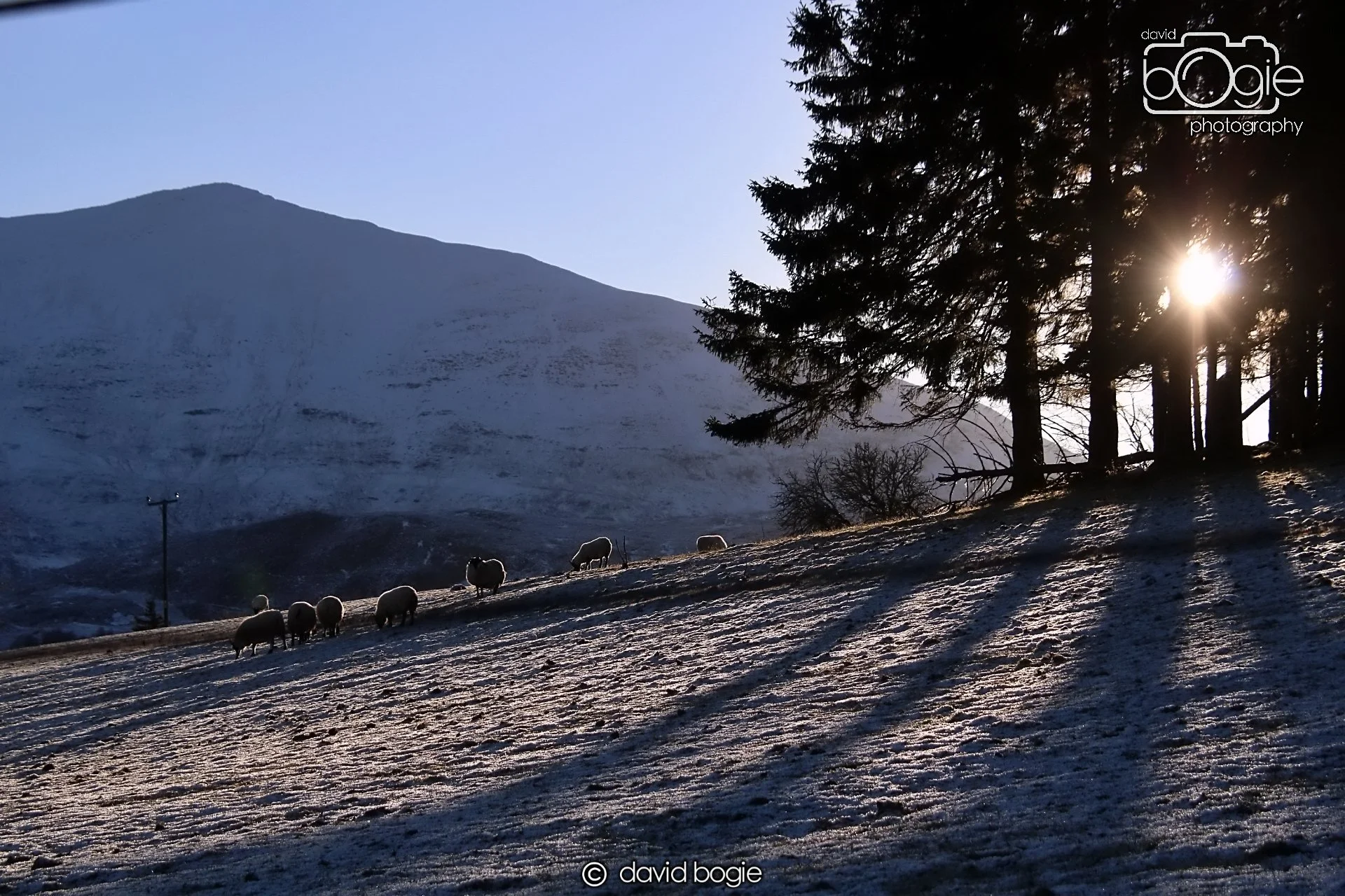 20221215 00249 Aberfeldy.JPG