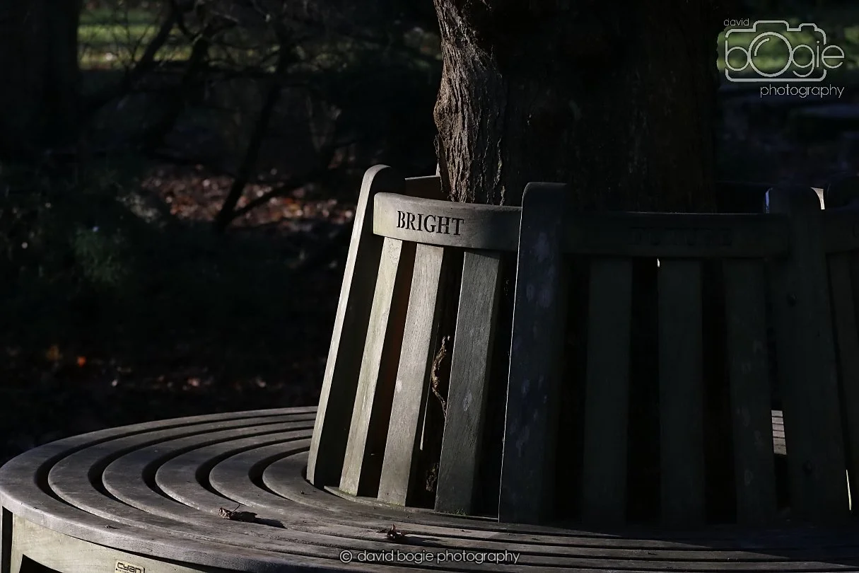 20251231 125040 Silverburn 0020.JPG