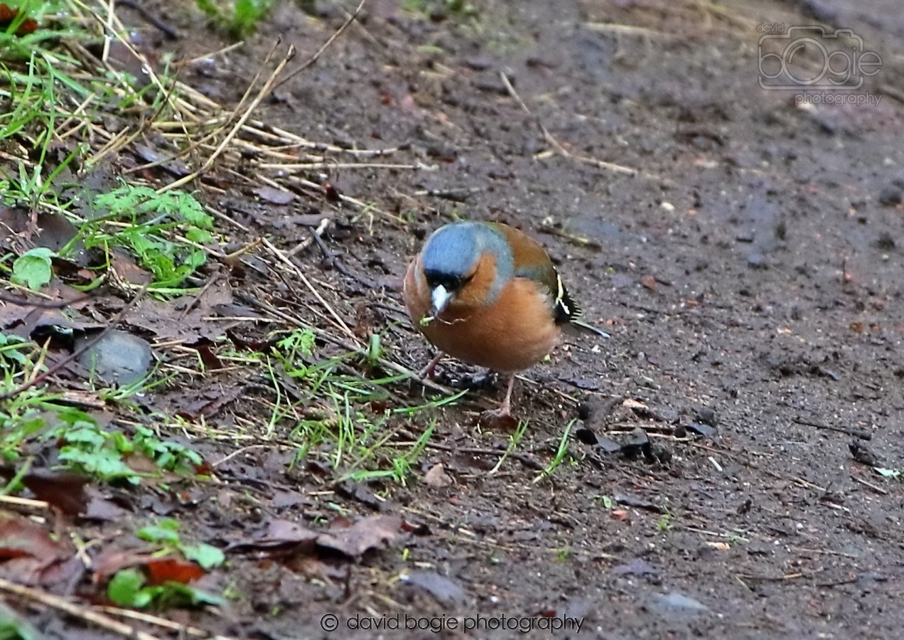 20260306 091056 Dunnikier 0042.jpg