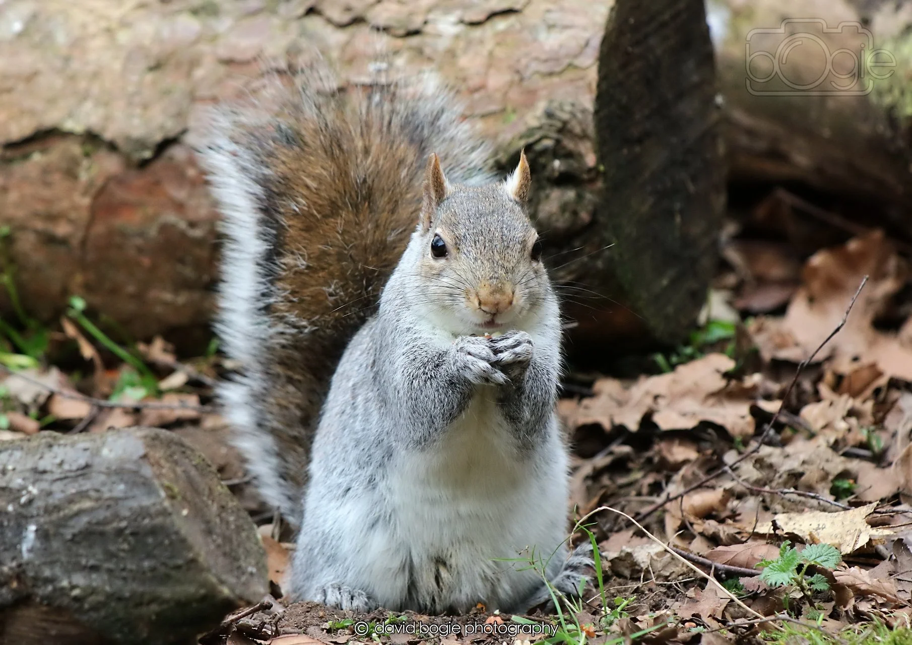 20260326 113745 Silverburn 0239.jpg