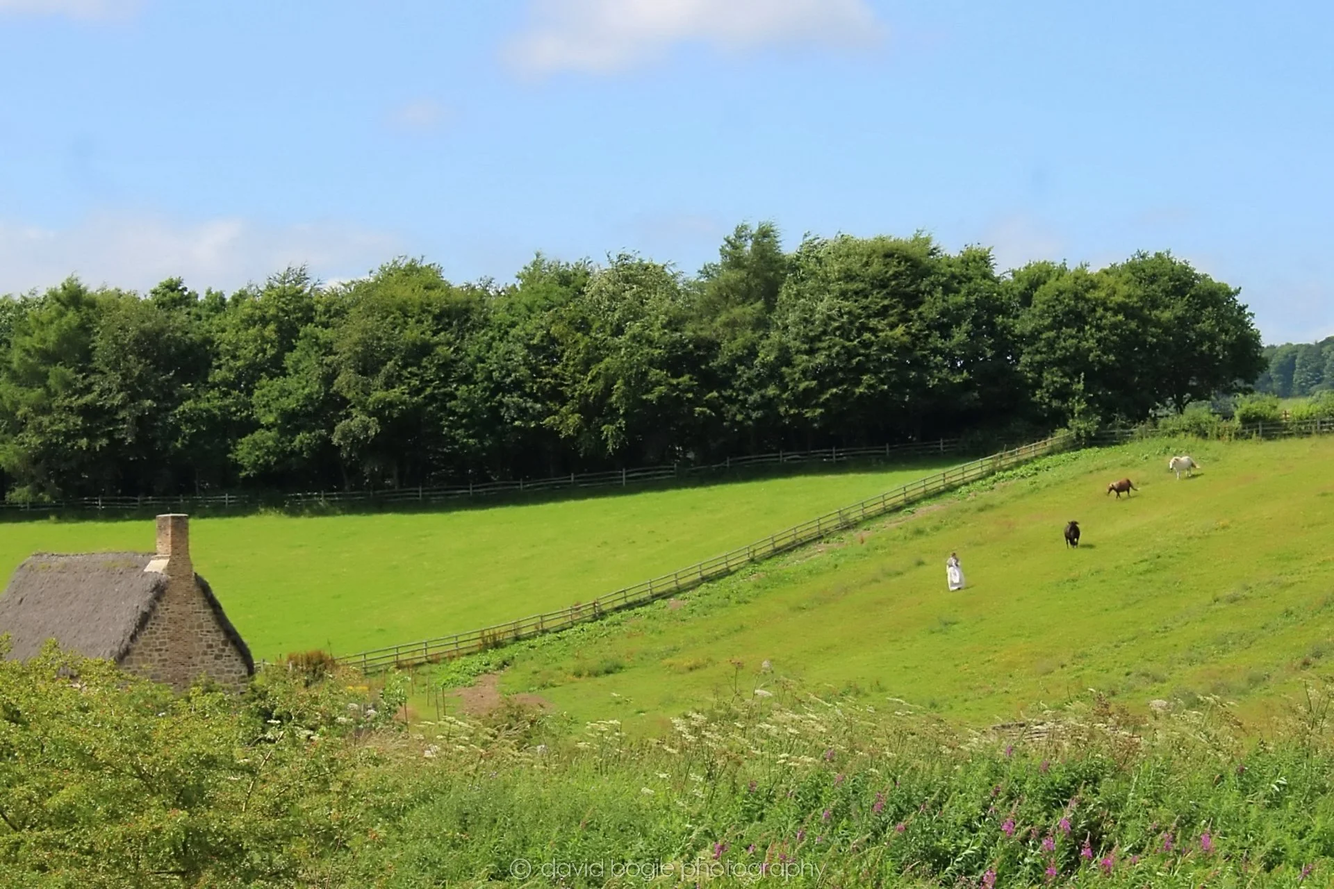 20190722 144951 Beamish .jpg