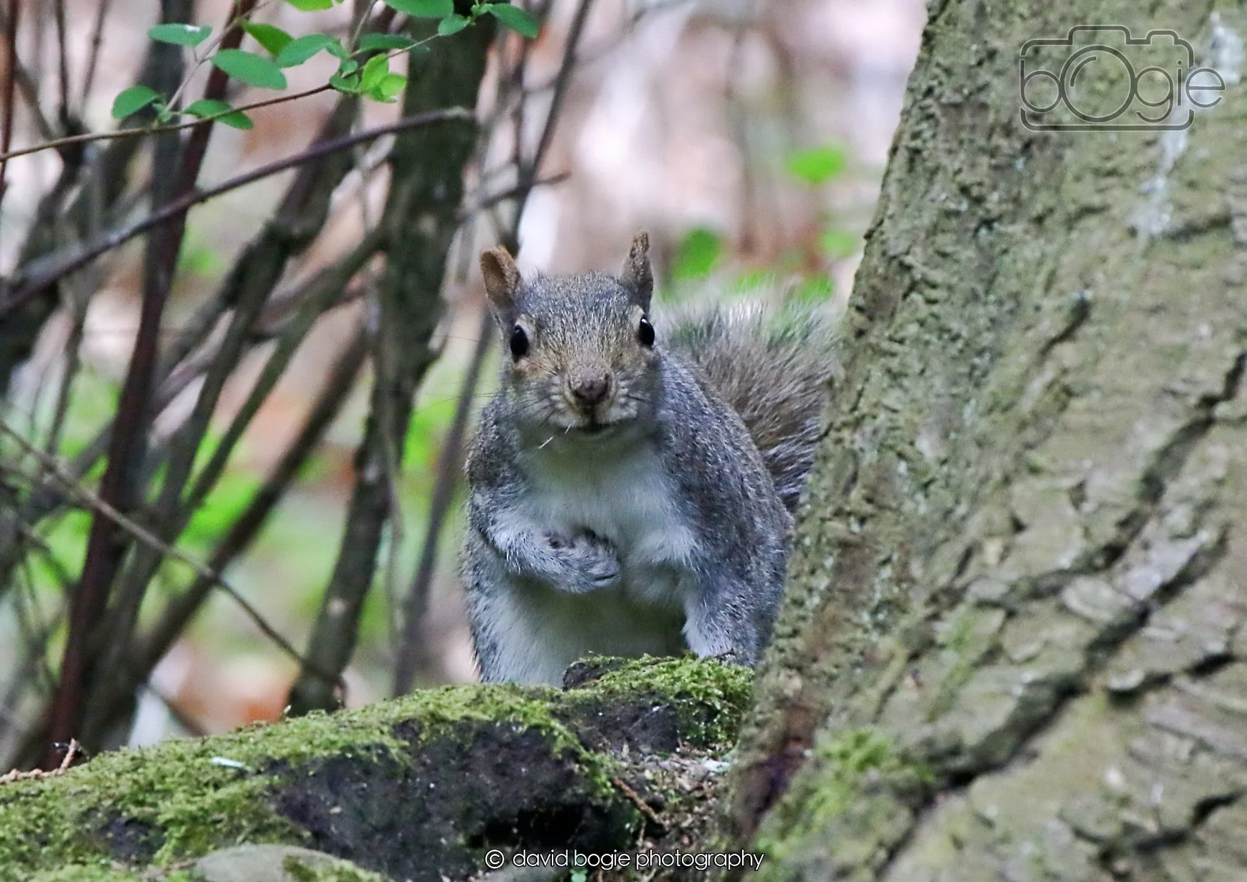 20260403 130501 Dunnikier 0358.jpg