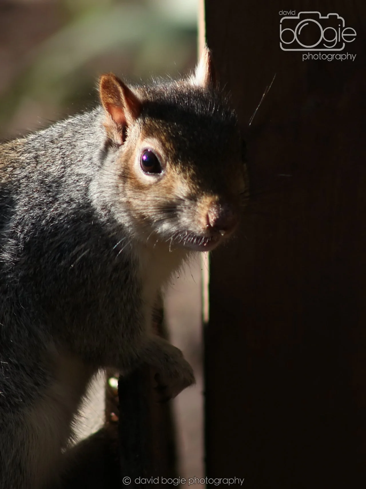 20251125 133352 Silverburn 0071.JPG