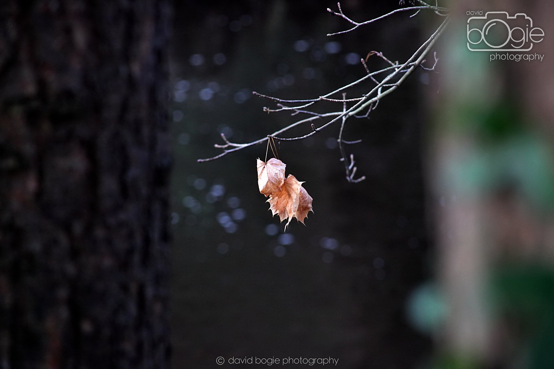 20251205 130015 East Calder 0061.JPG