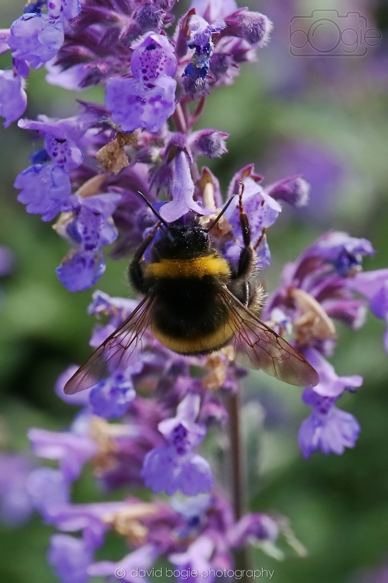 20260623 112443 Falkland 0122.jpg