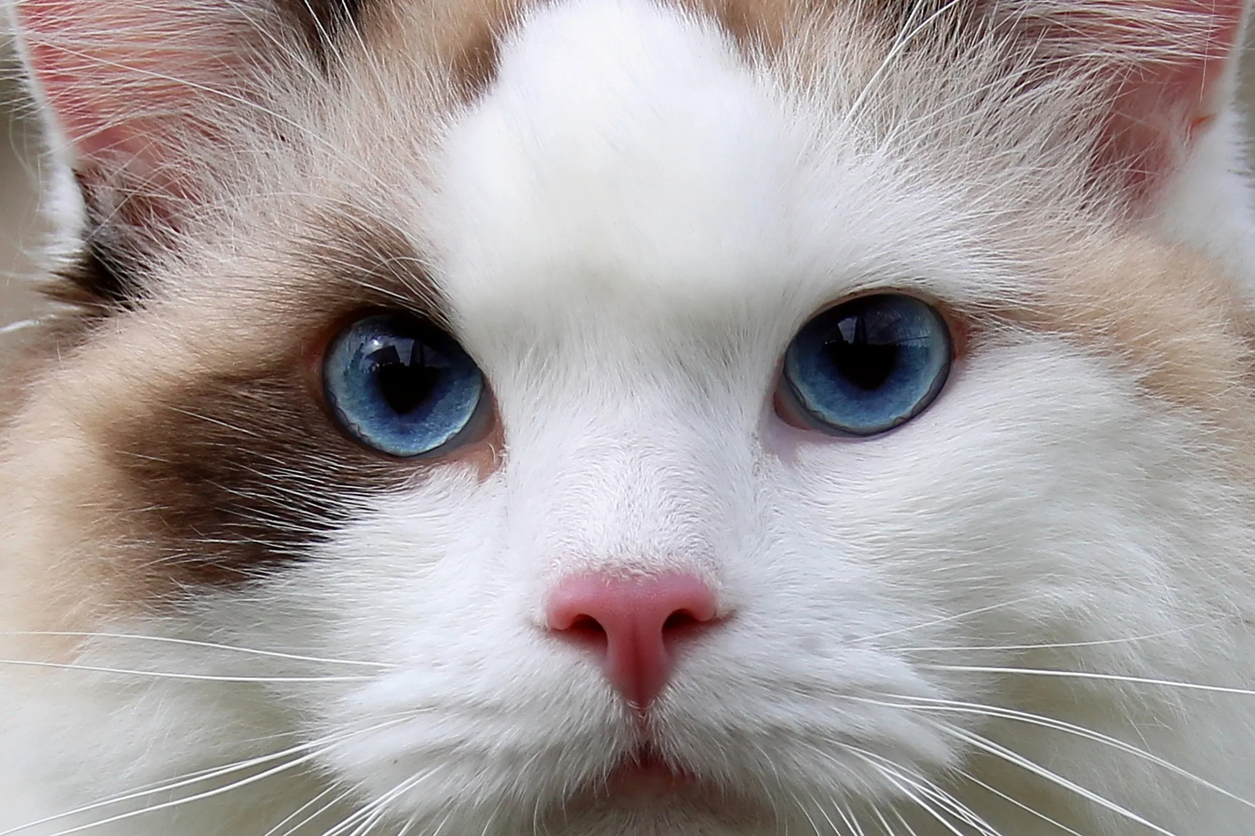 20220911 BOWHILL HG 00197.jpg