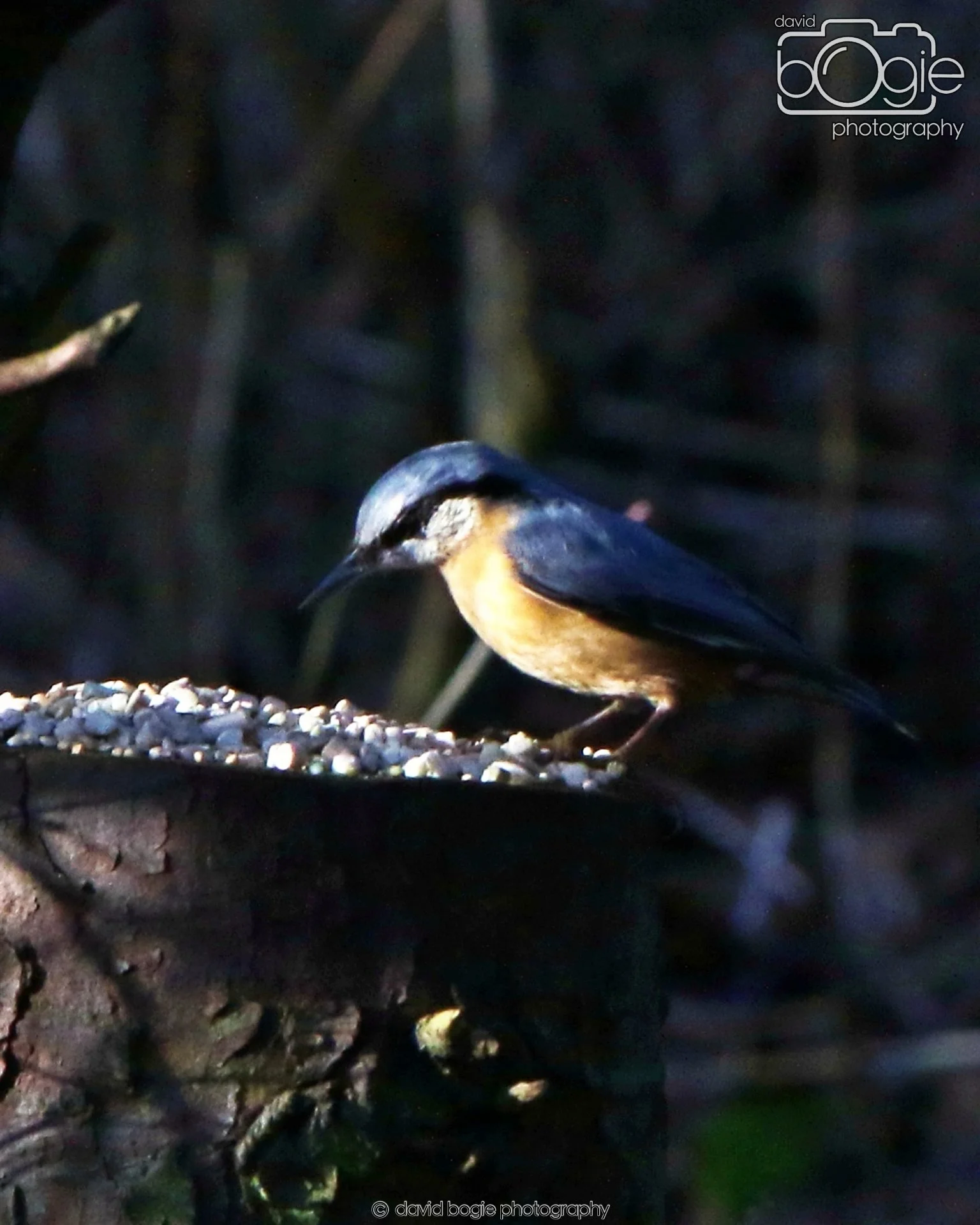 20260128 125941 Dunnikier 0107.JPG