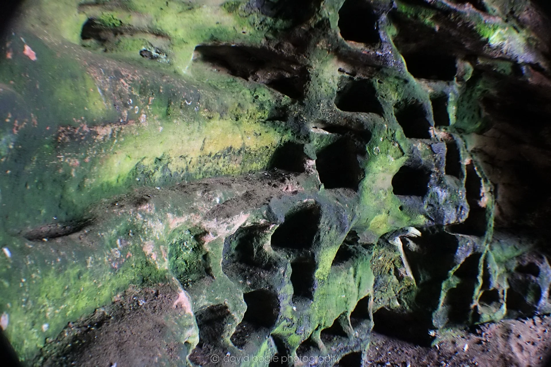 20190926 102750 Wemyss Caves 0014.jpg