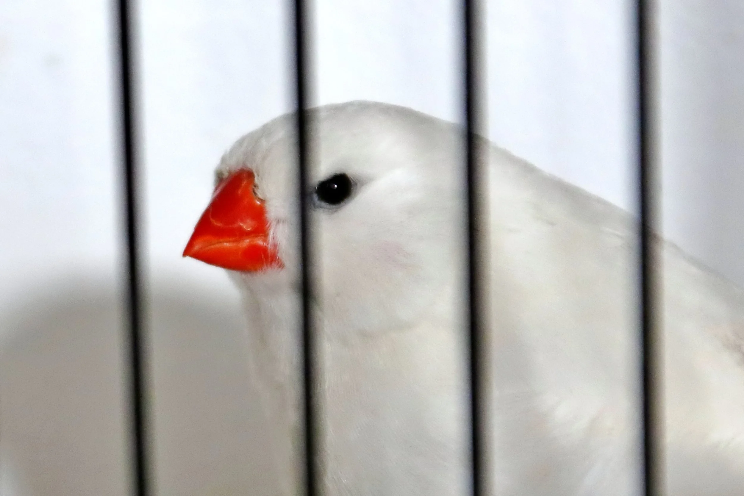 20251102 130141 Markinch CBS  0673.JPG