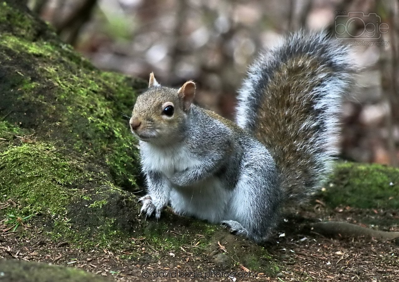 20260309 114855 Dunnikier 0415.jpg