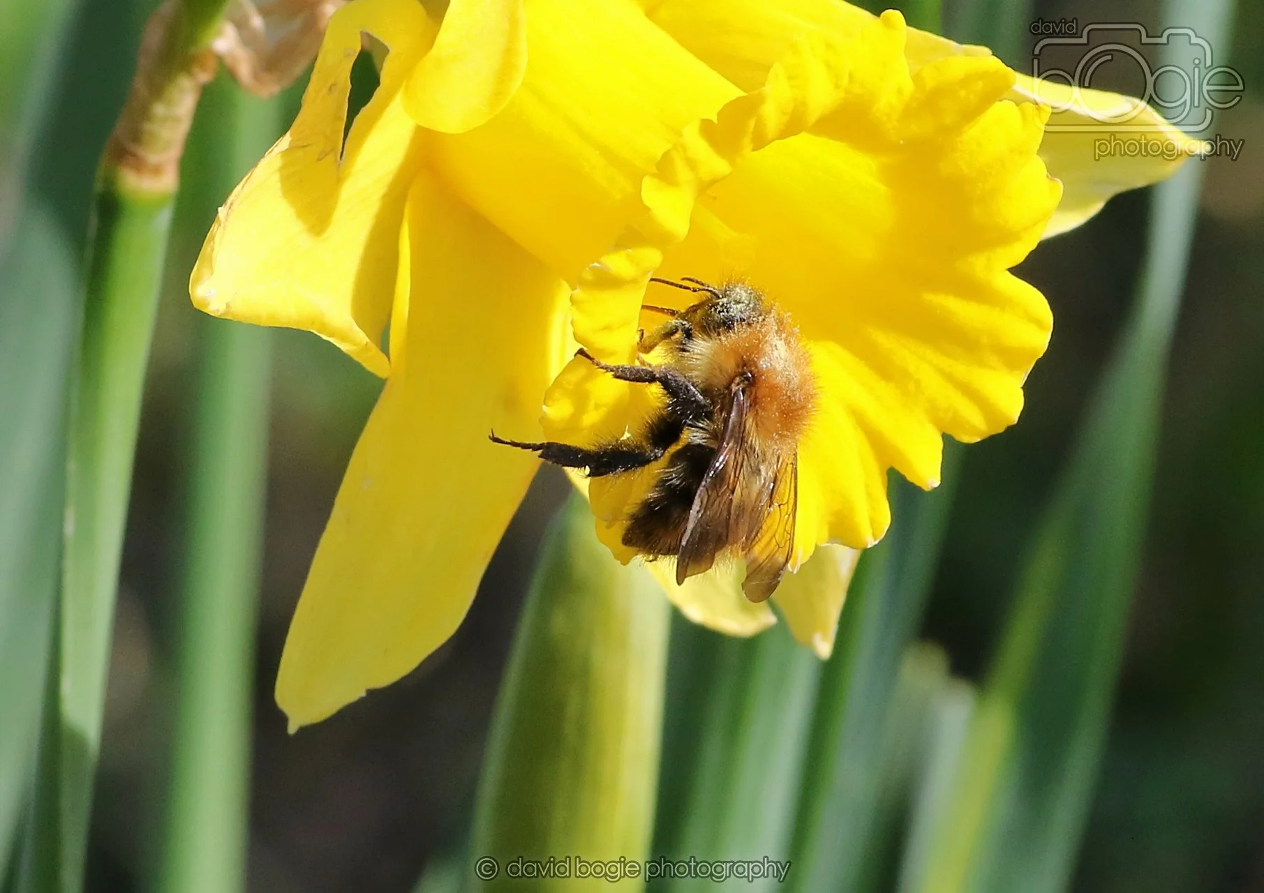 20260319 115407 Beveridge Park 0204.jpg