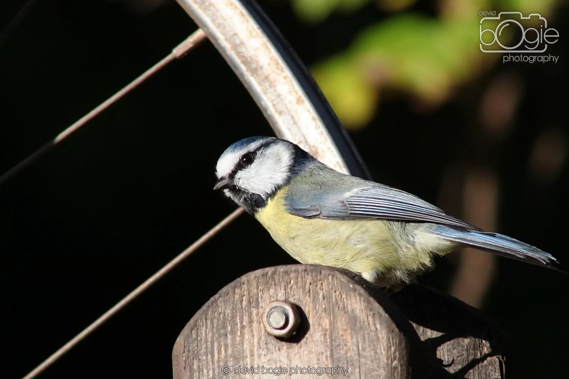 20251125 134253 Silverburn 0160.JPG