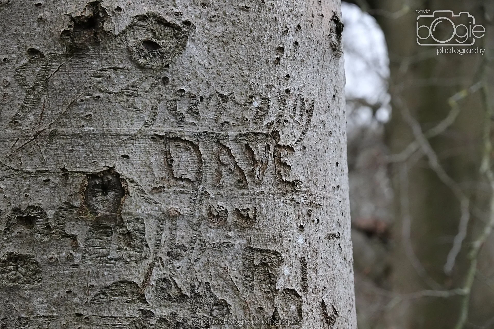 20251205 142258 East Calder 0233B.jpg