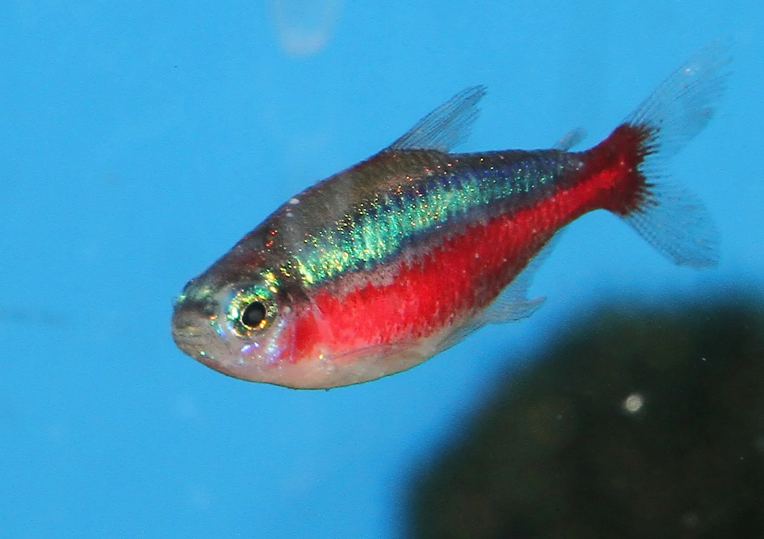 20260403 141912 IMG_0175.jpg