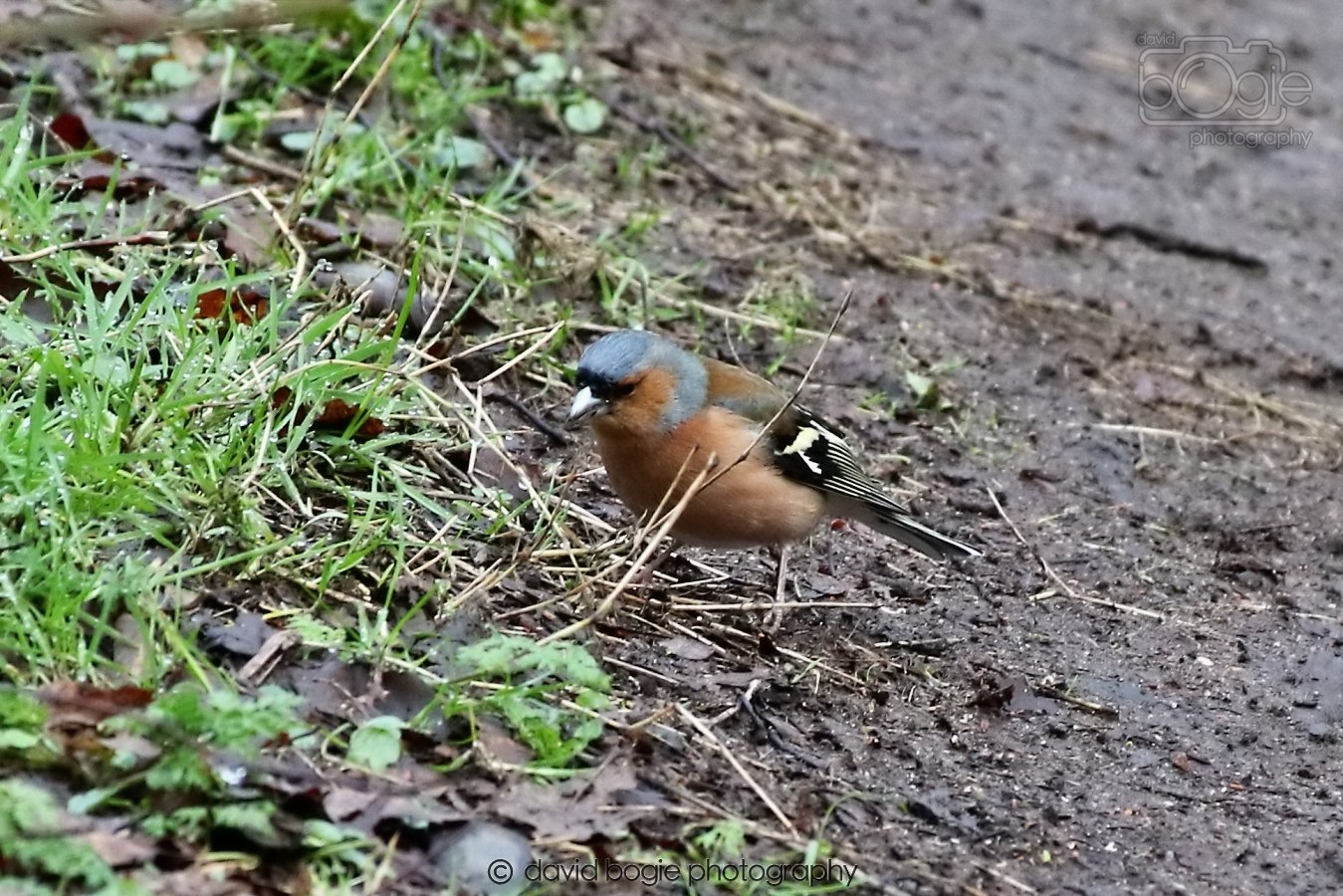 20260306 091045 Dunnikier 0028.jpg