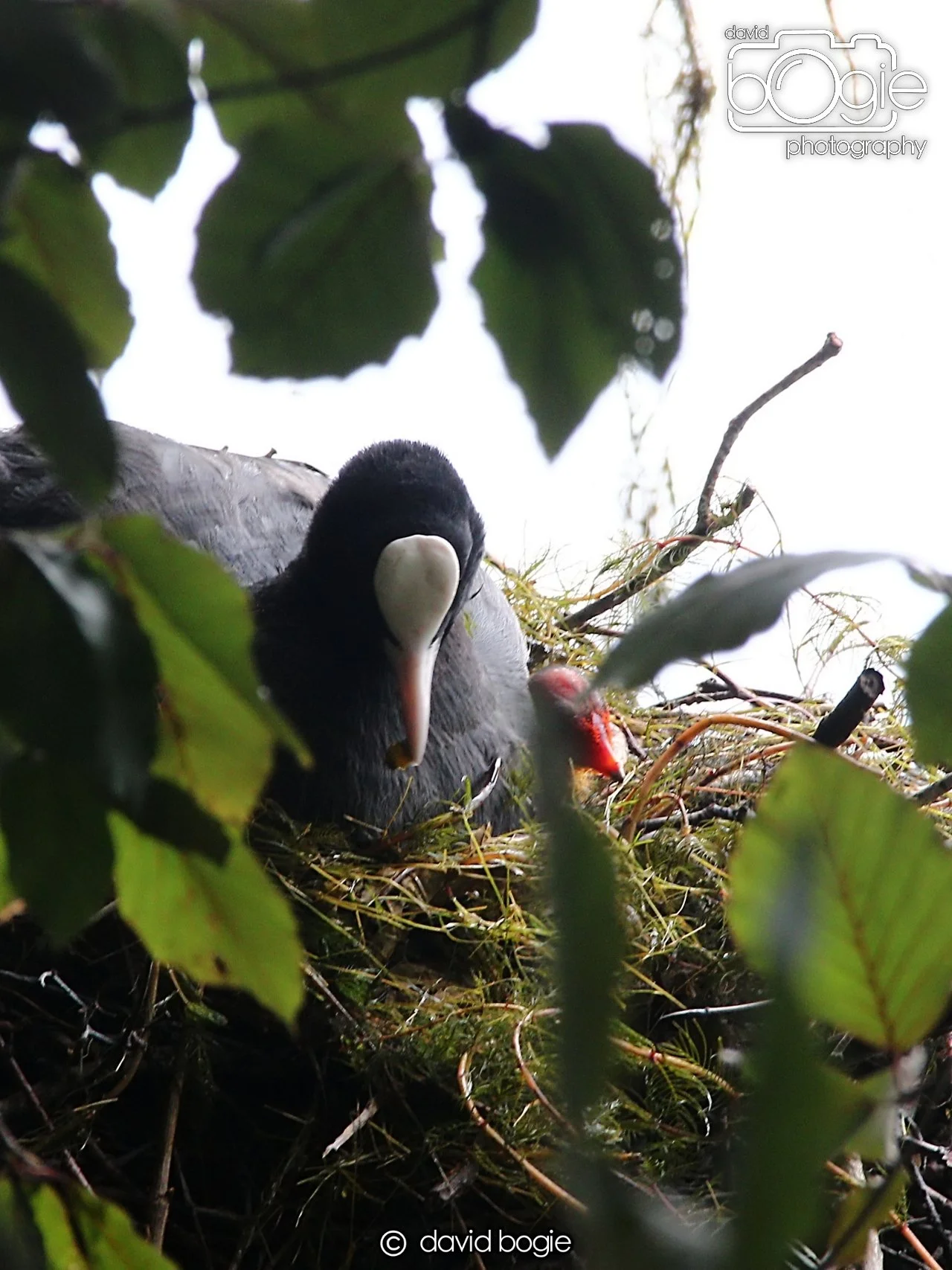 20240722 141034 Beveridge 0092.JPG