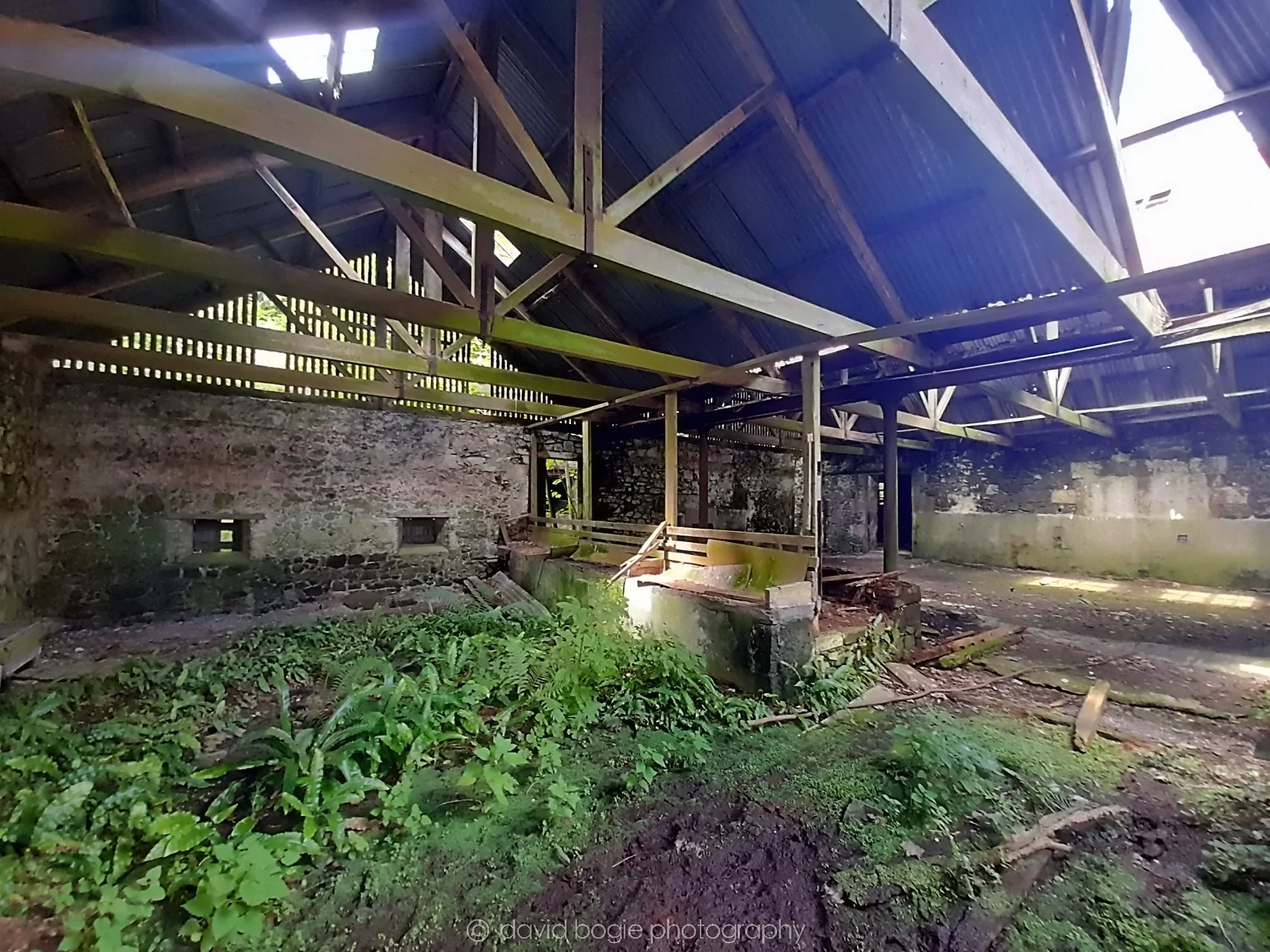 20210719 Glenfarg 00013.jpg