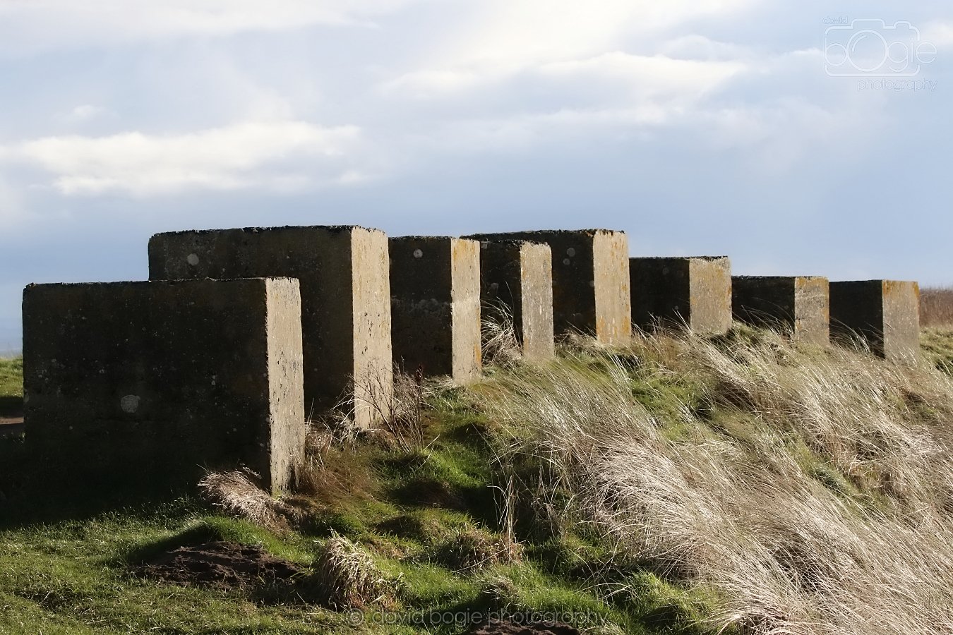 20260314 160757 Elie 0035.jpg