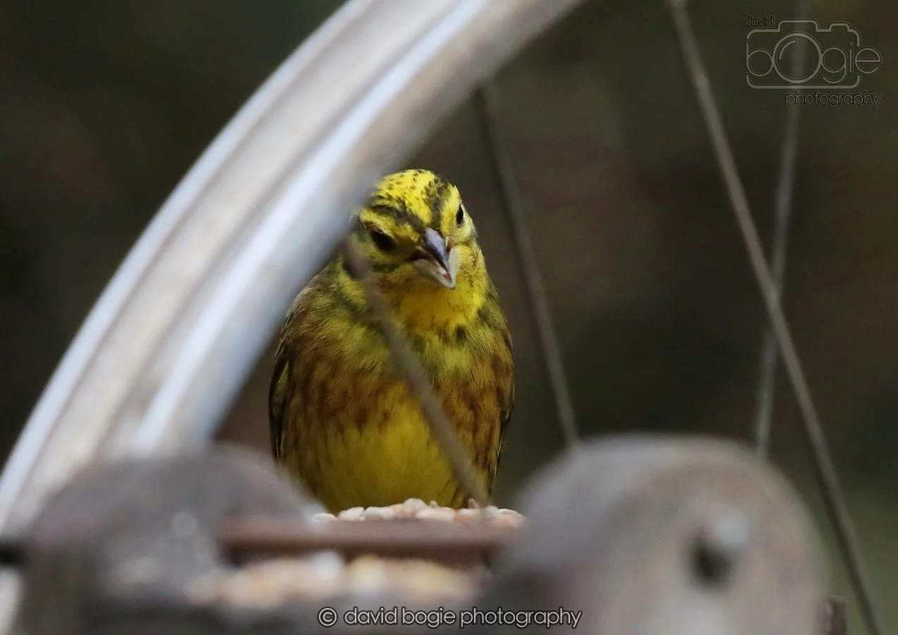 20260215 132536 Silverburn 0182.jpg