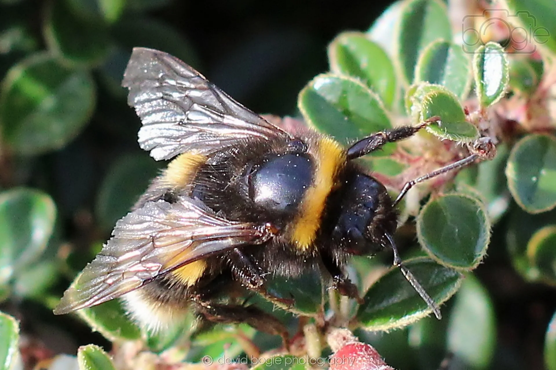 20220702 104554 Cardenden 0120.jpg
