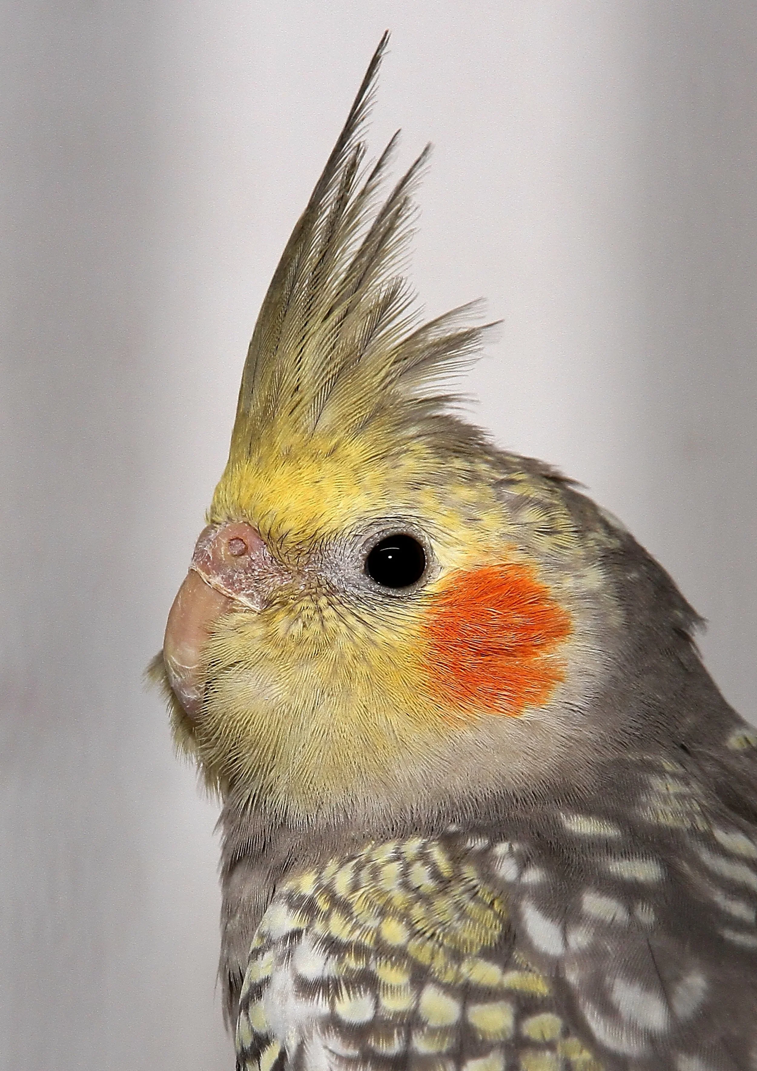 20260331 103908 K&S 0291.jpg