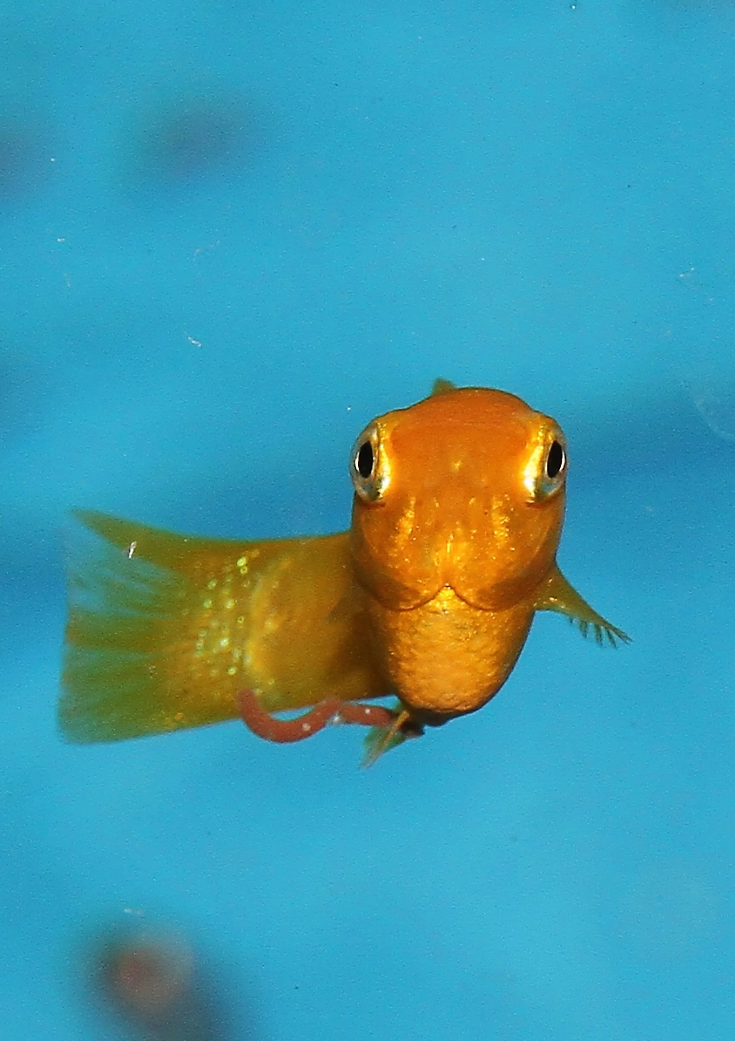 20260403 141720 IMG_0162.jpg