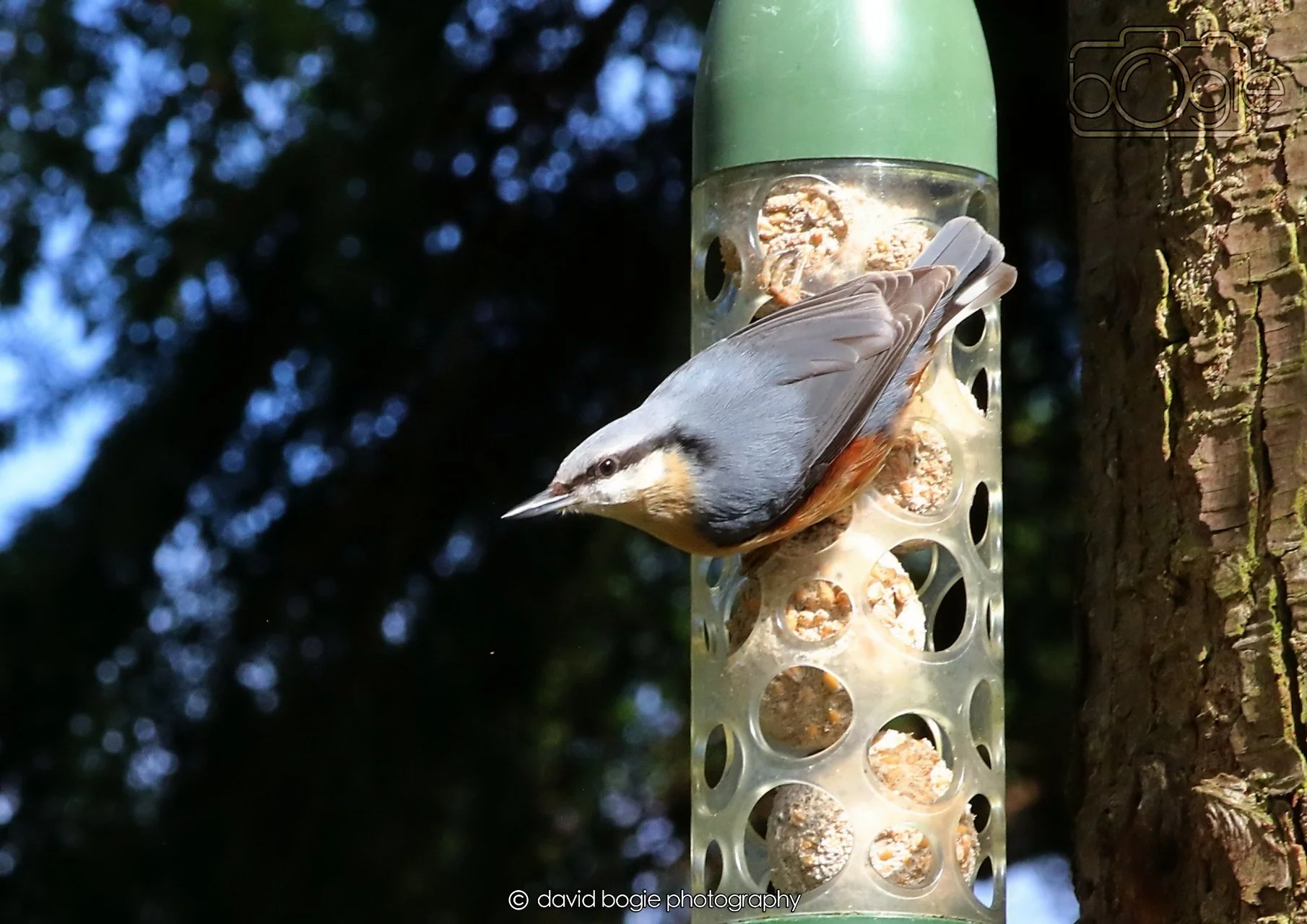 20260330 115158 Dunnikier 0233.jpg