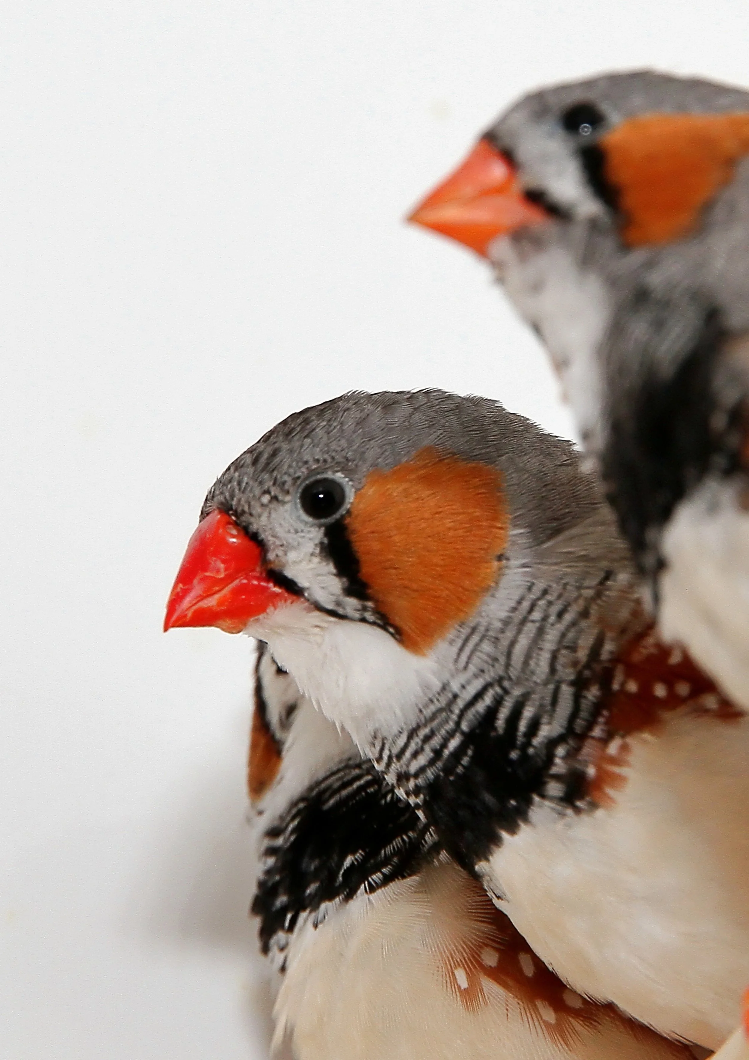 20260331 111918 K&S 0488.jpg