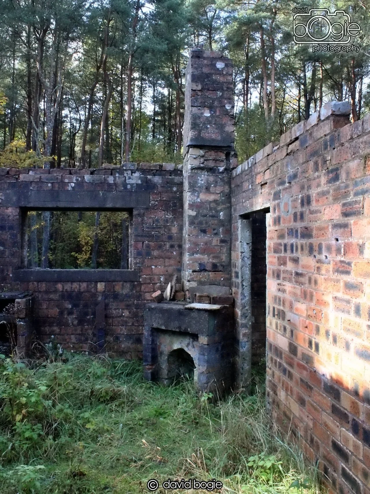 20191014 135007 Tentsmuir 0036.JPG