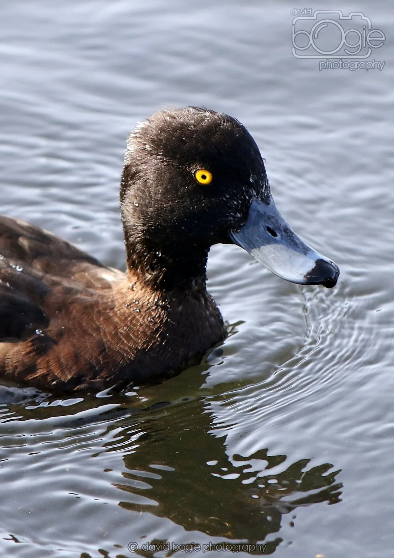 20260319 133317 Beveridge Park 0468.jpg