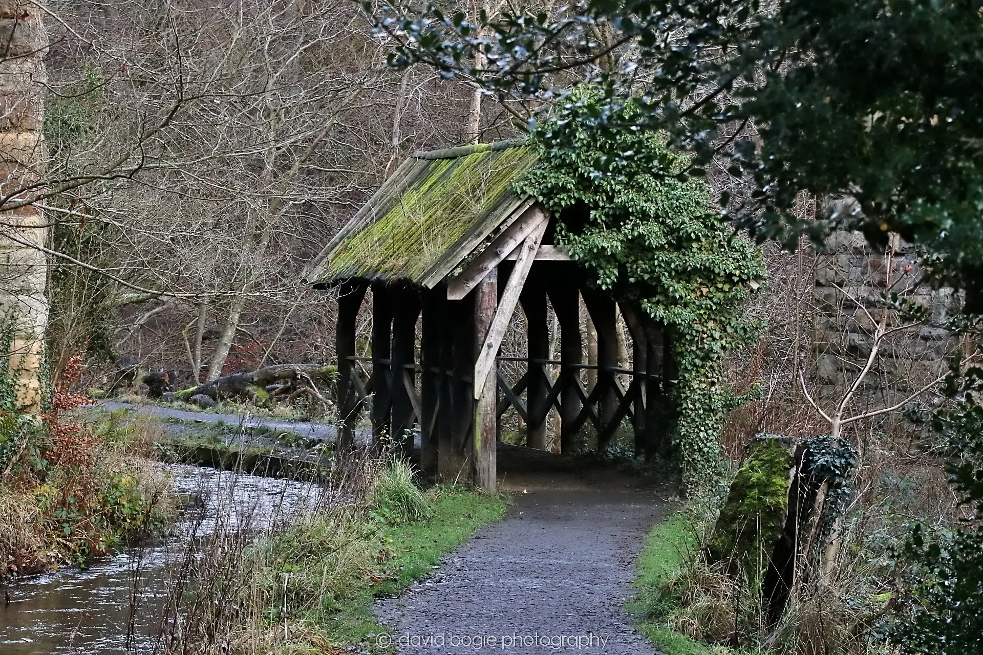 YEAR20251205 134514 East Calder 0168.jpg