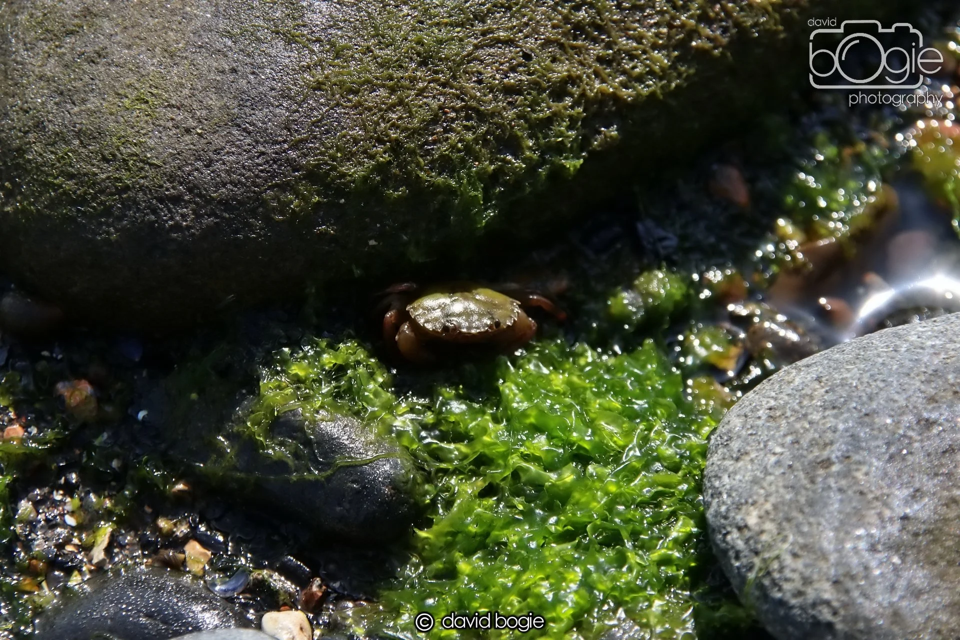 20250812 135711 Dysart 0034.JPG