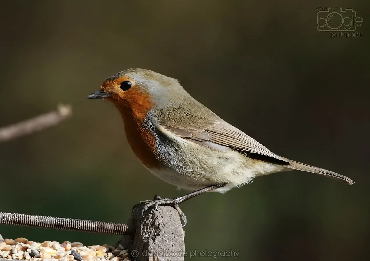 20260314 142256 Silverburn 0202.jpg