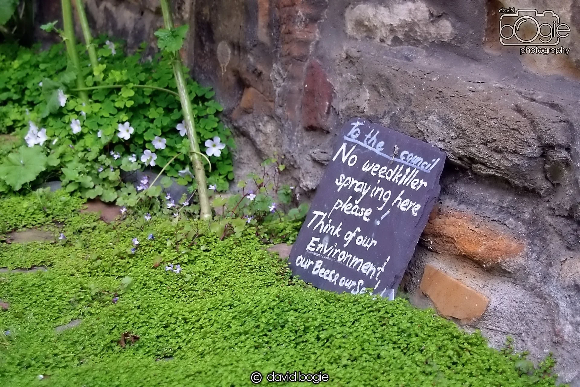 20240531 134101 St Andrews 0269.JPG