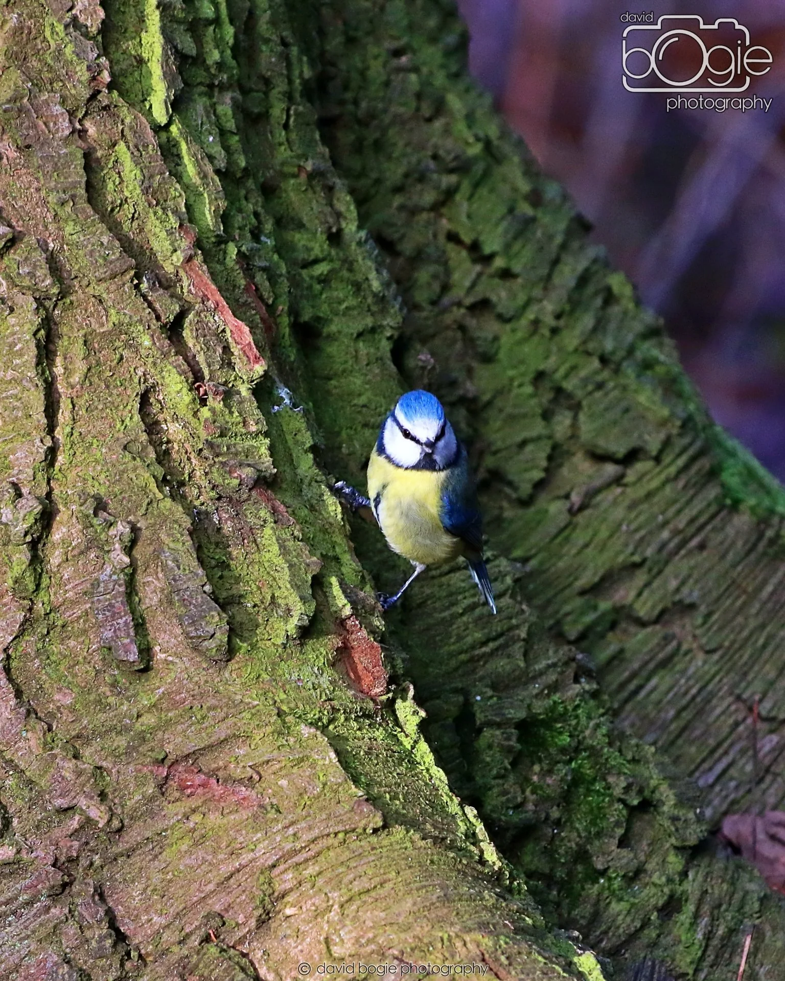 20260128 143719 Dunnikier 0424.JPG