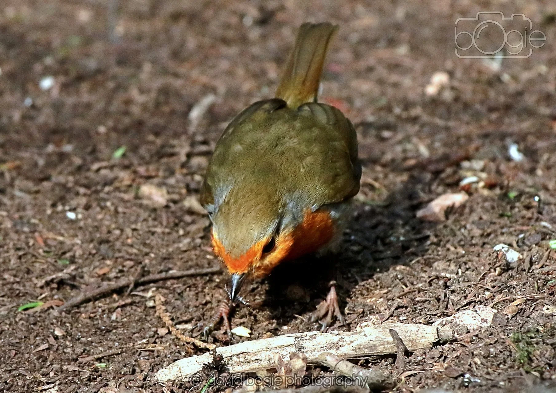 20260322 144254 Dunnikier 0094.jpg