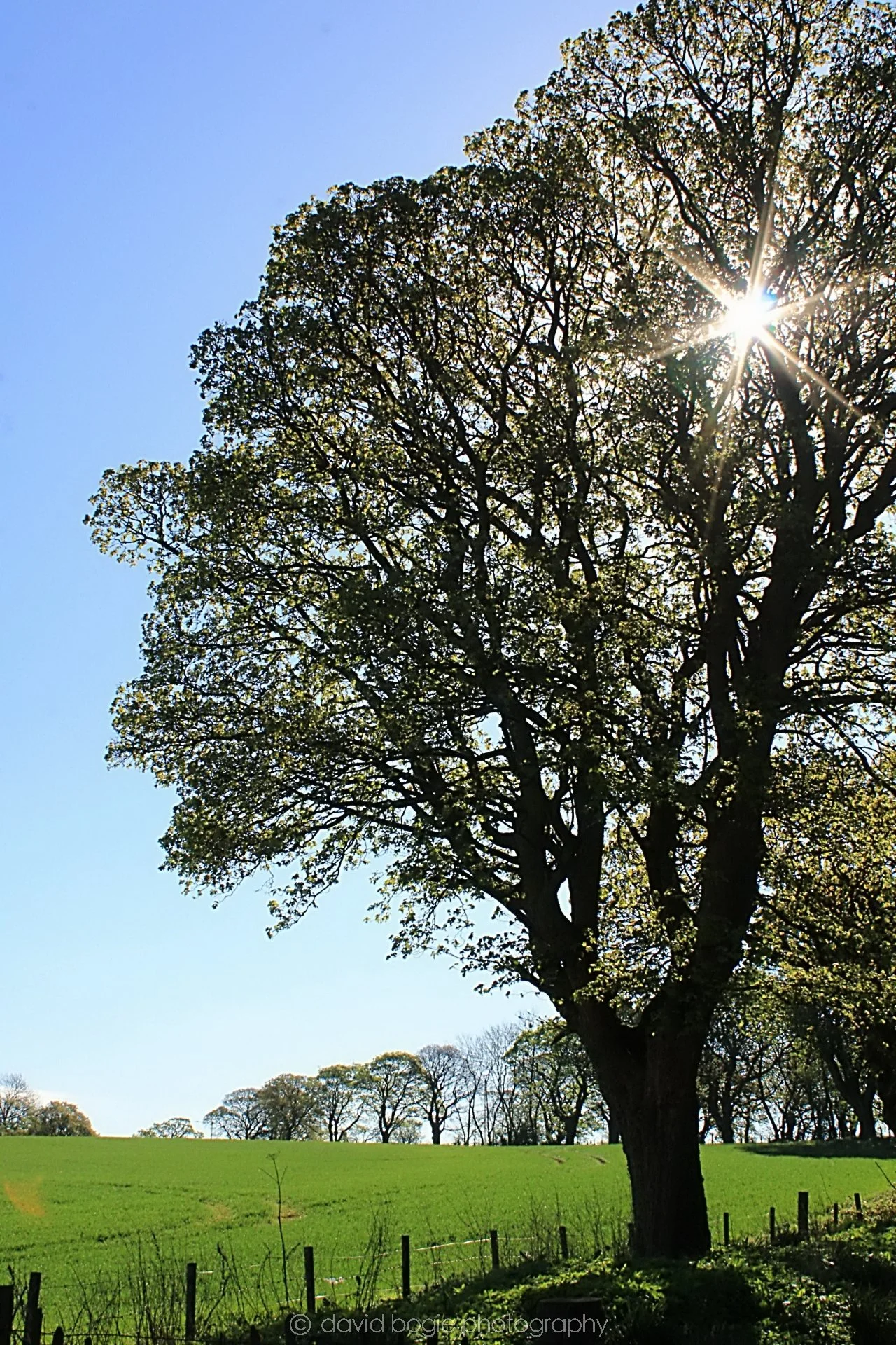 20190425 082402 Cardenden 0021.jpg