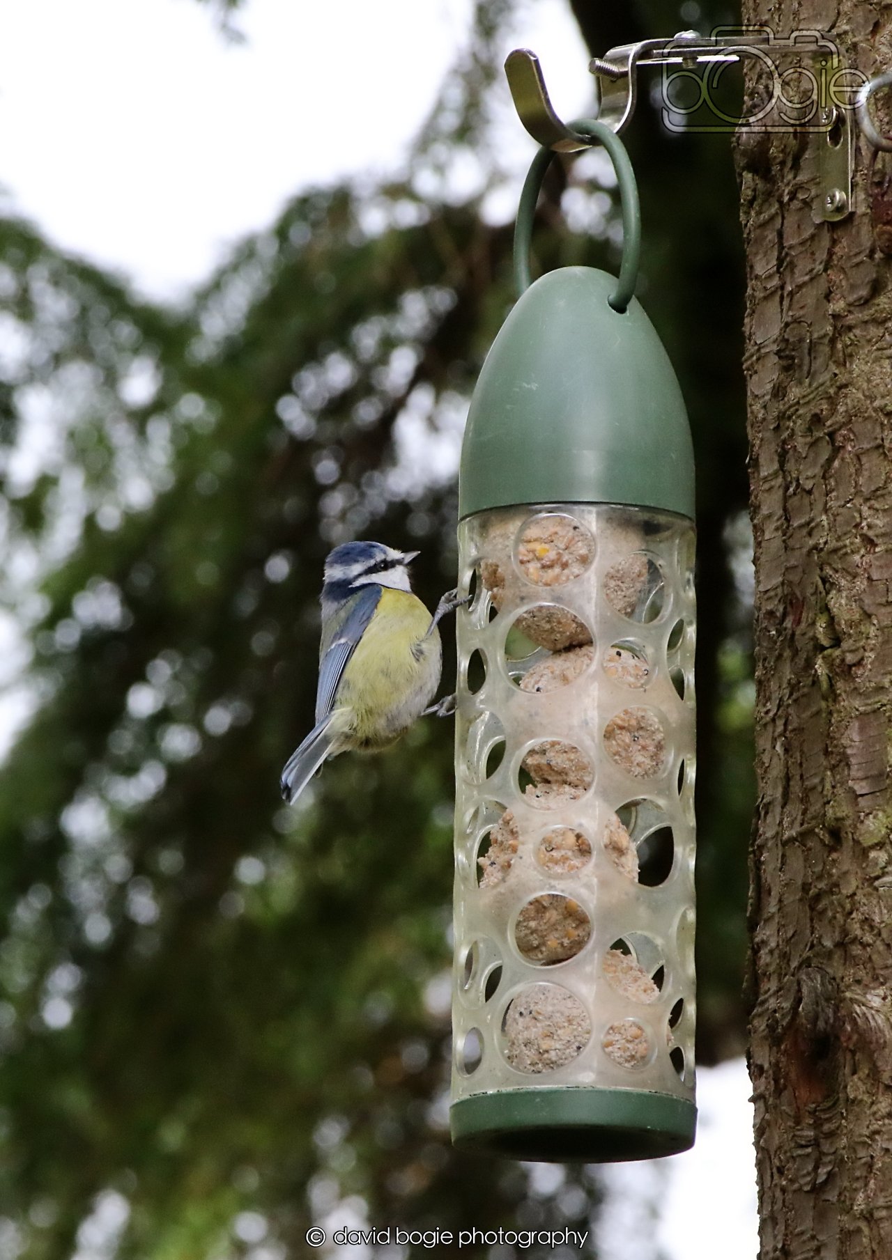 20260330 111149 Dunnikier 0012.jpg