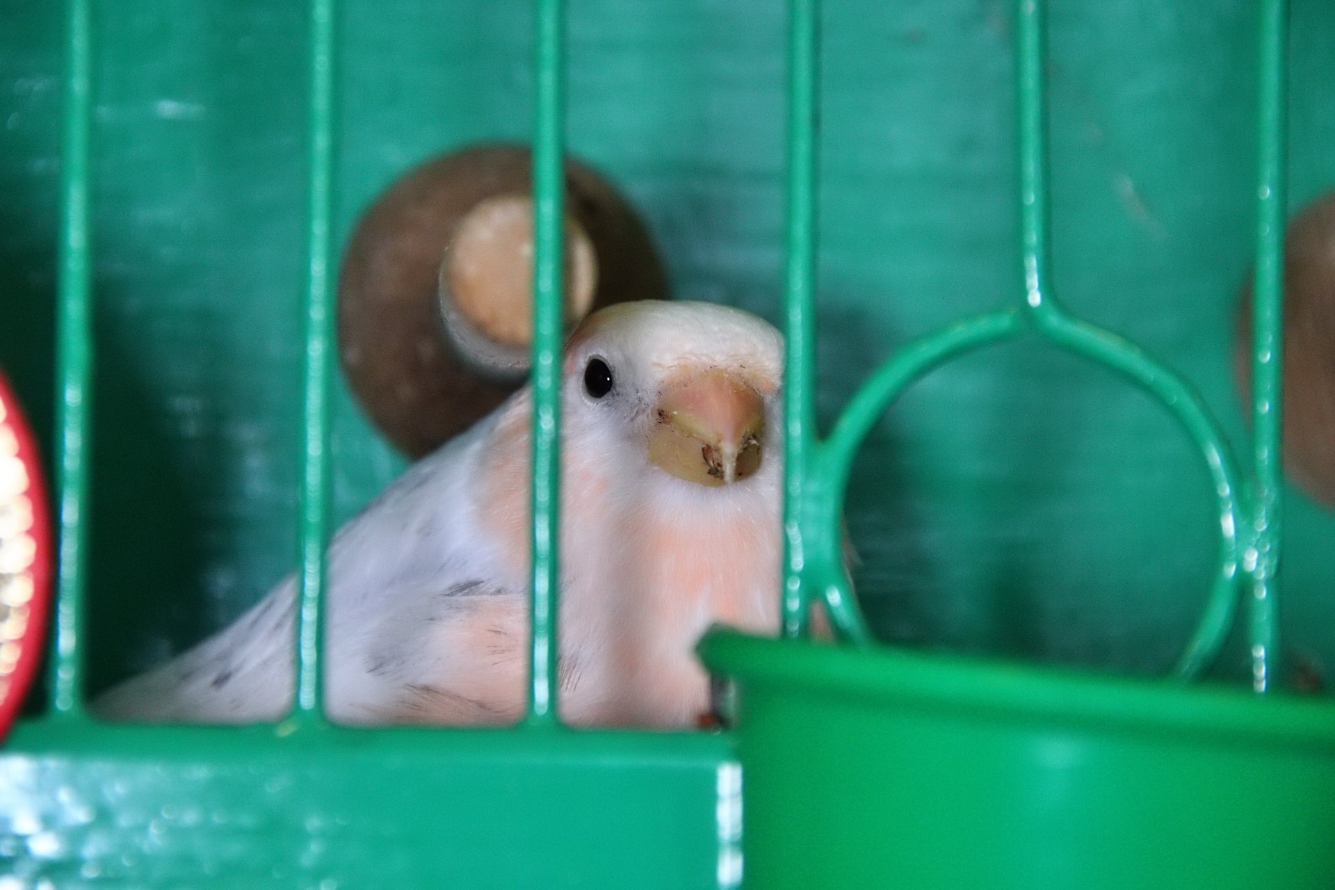 20241103 134410 MCBS Show 0636.JPG