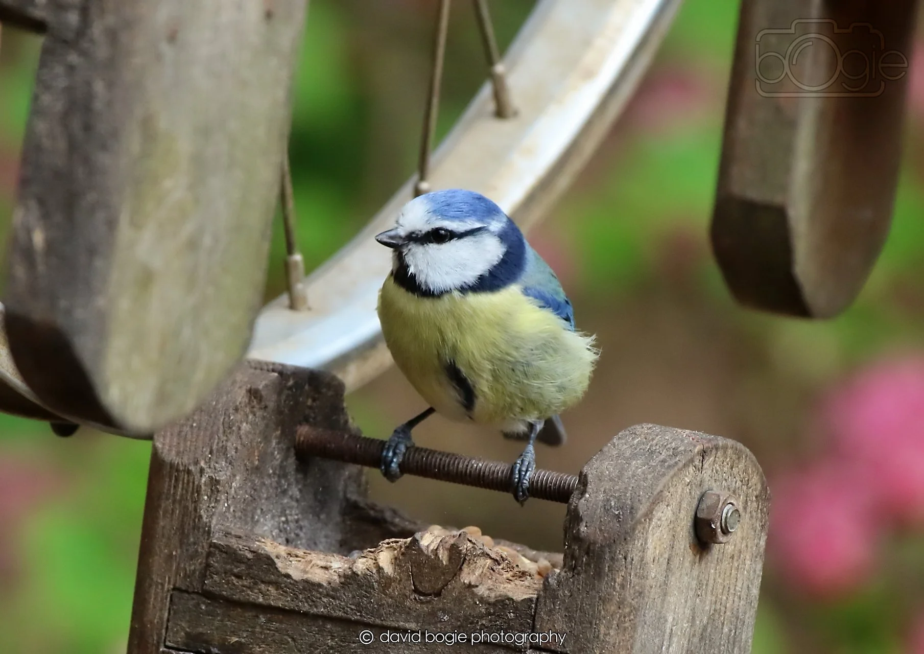 20260326 115458 Silverburn 0283.jpg