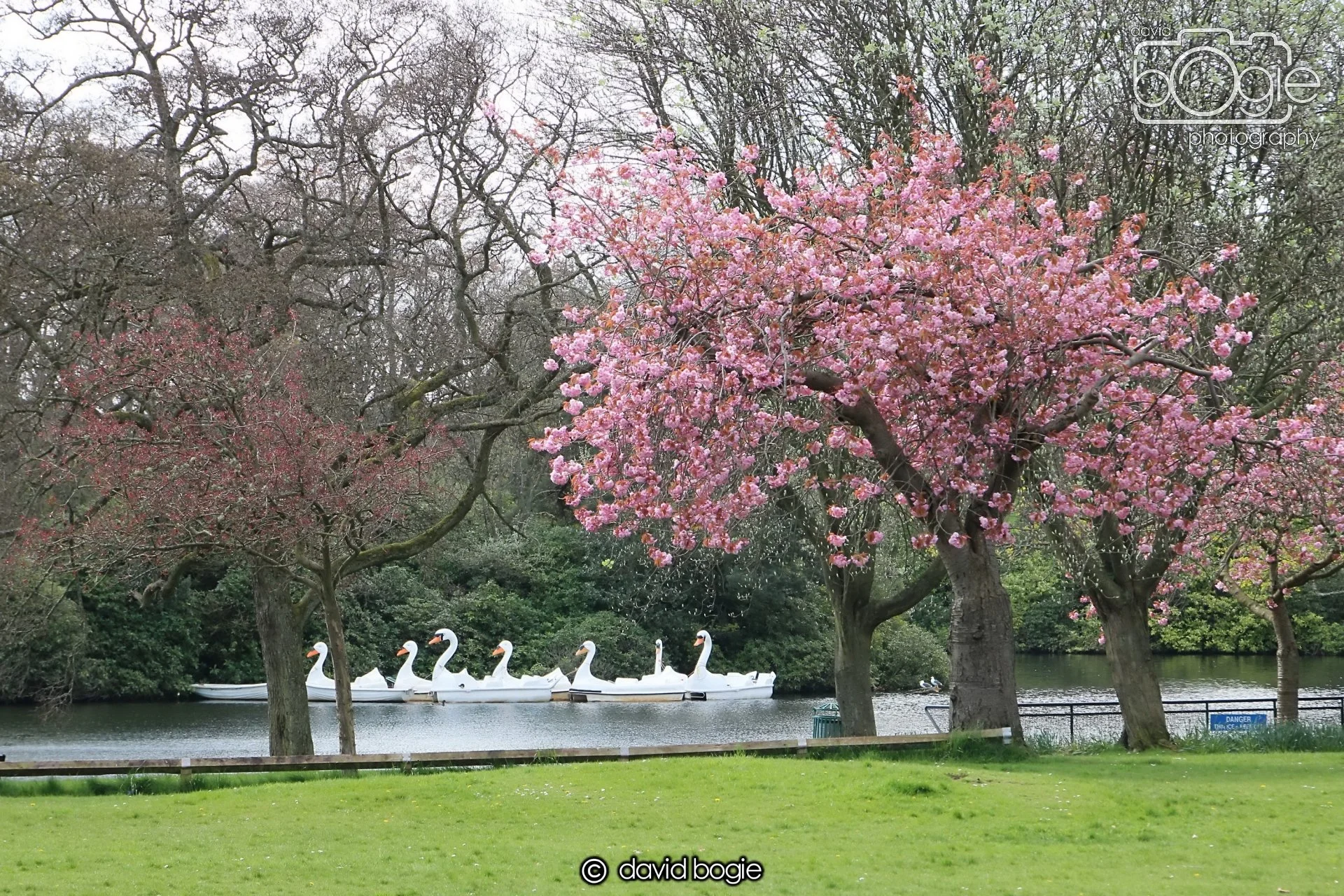 20240423 105821 Beveridge 0014.JPG