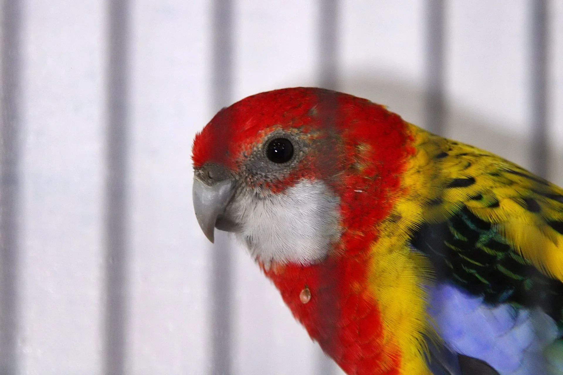 20241103 130823 MCBS Show 0474.JPG