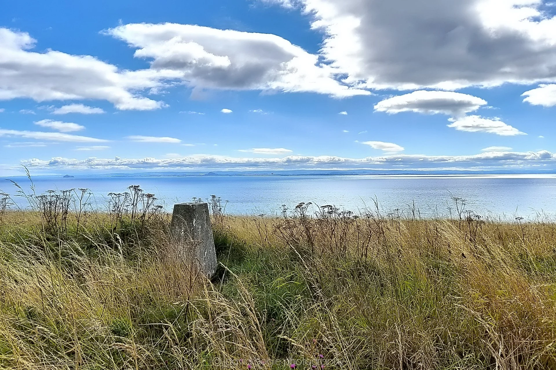 20210817 Earlsferry 00013.jpg