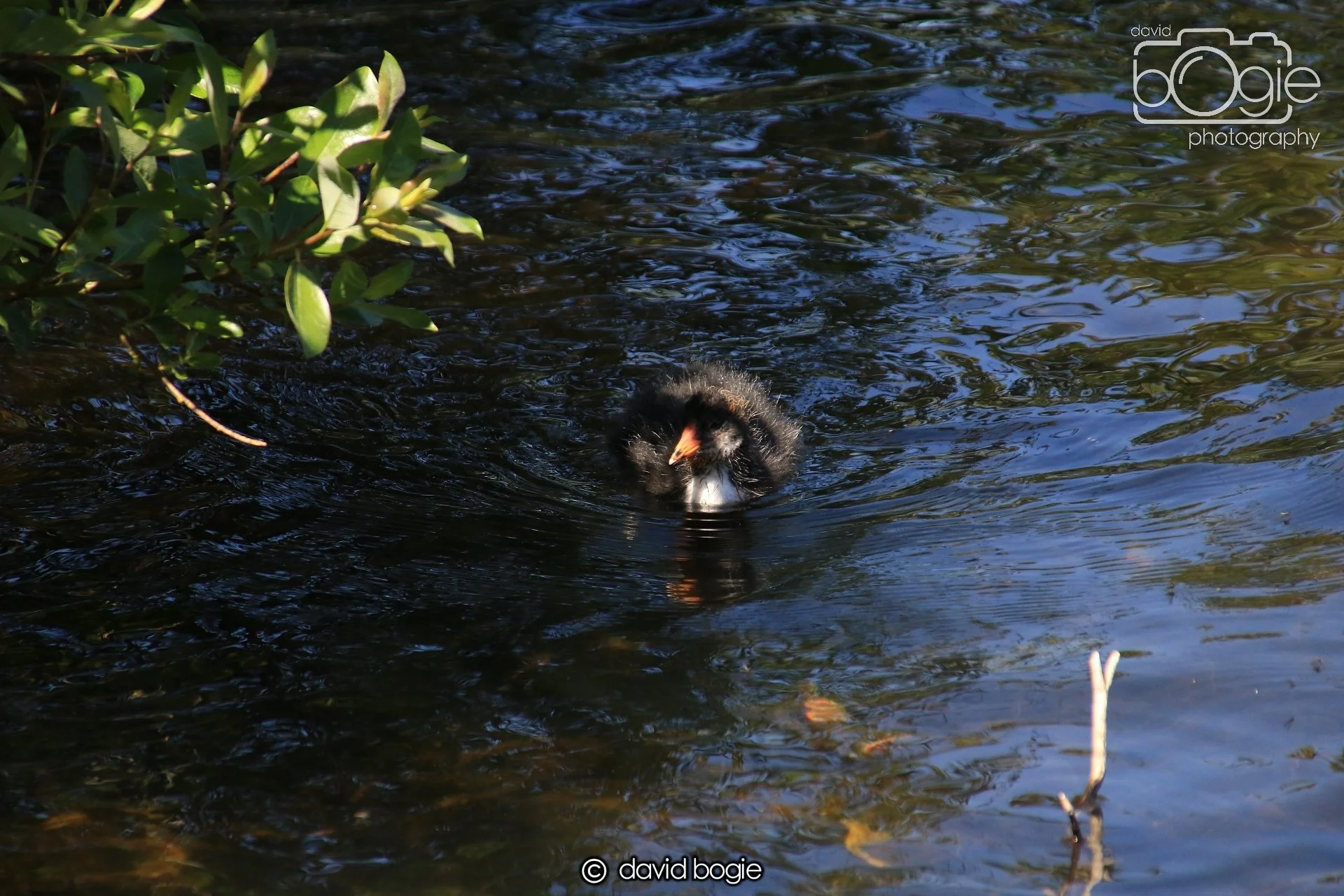 20250517 124223 Beveridge Park 0531.JPG