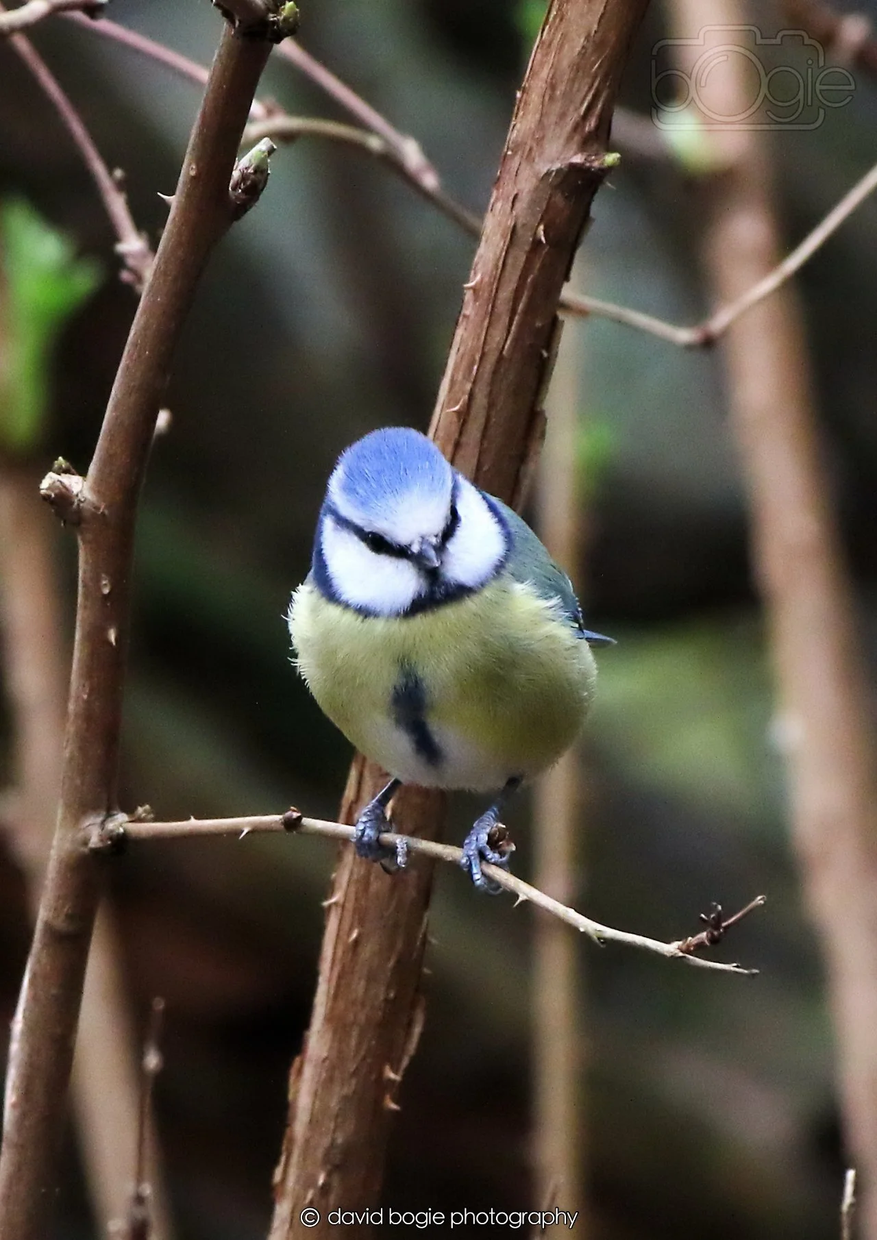 20260326 112004 Silverburn 0045.jpg