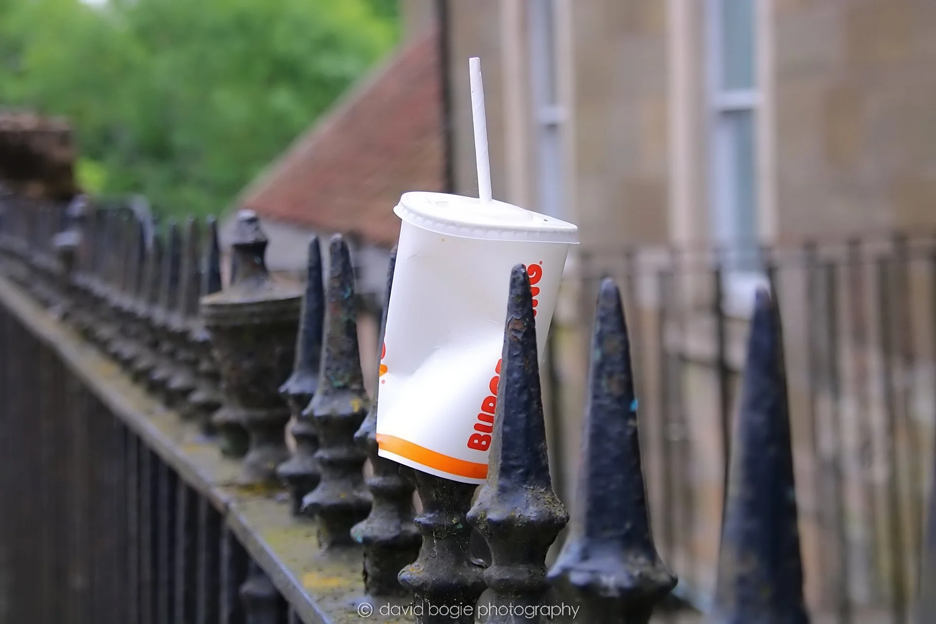 YEAR20240531 114747 Cupar 0195.jpg