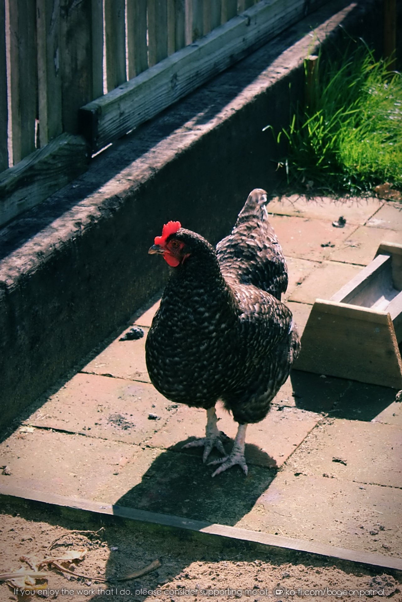 20190722 153132 Beamish .jpg