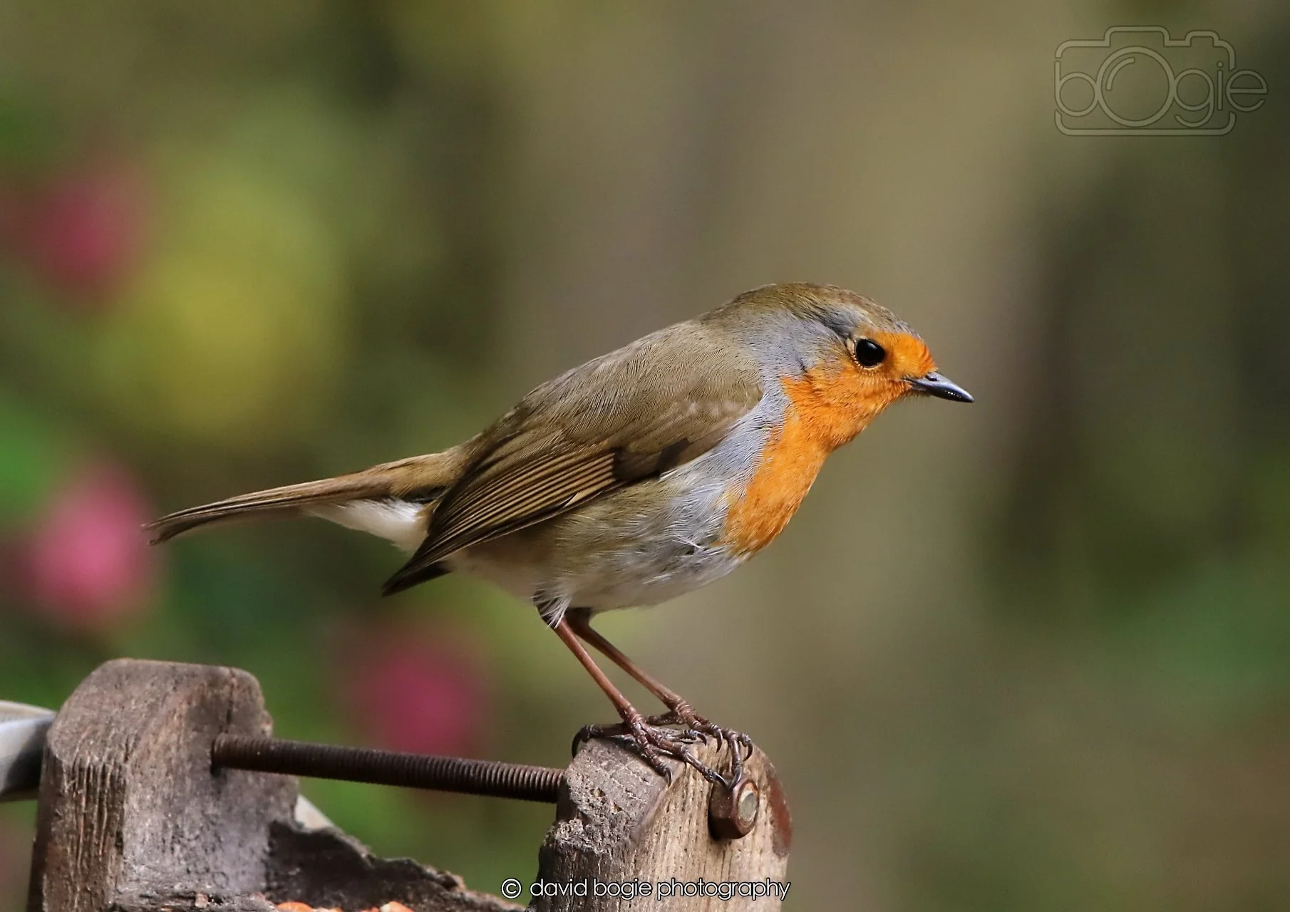 20260326 121425 Silverburn 0471.jpg