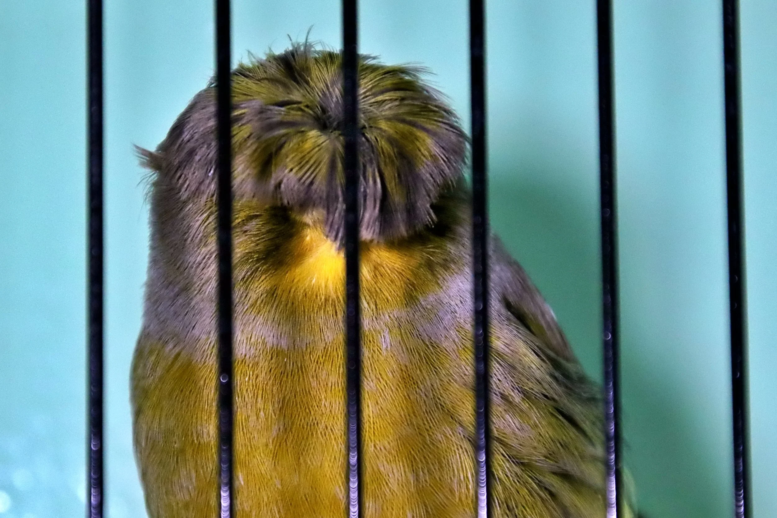 20251102 125703 Markinch CBS  0643.JPG