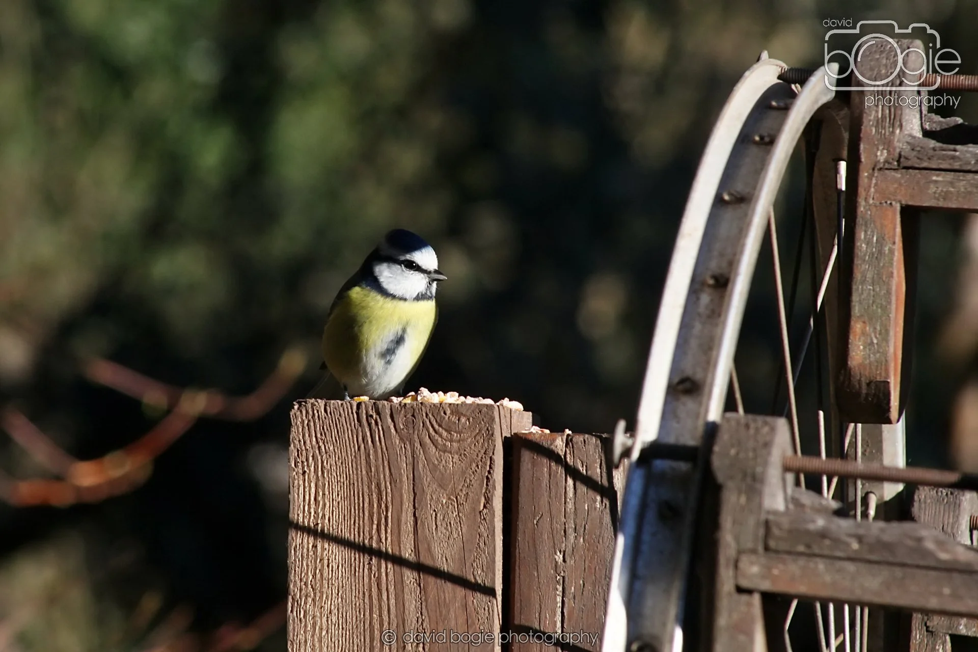 20251125 133804 Silverburn 0100.JPG